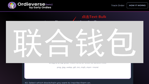 联合钱包：比特币与莱特币共舞，开启加密货币新纪元