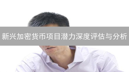 新兴加密货币项目潜力深度评估与分析