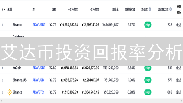 艾达币投资回报率分析：技术、市场与未来潜力