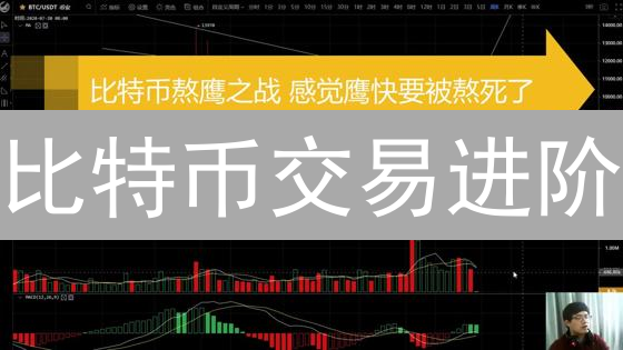 比特币交易进阶：巧用止损策略的风险管理艺术