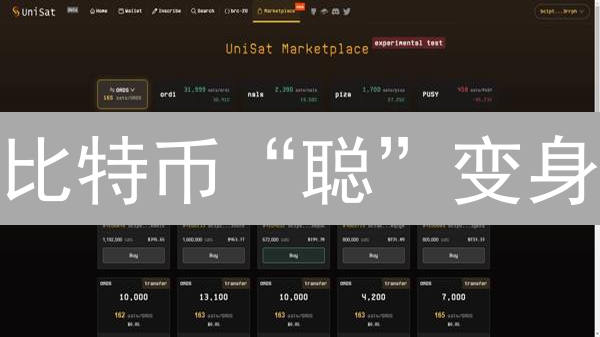 比特币“聪”变身：数字藏品新纪元还是“链上垃圾”？