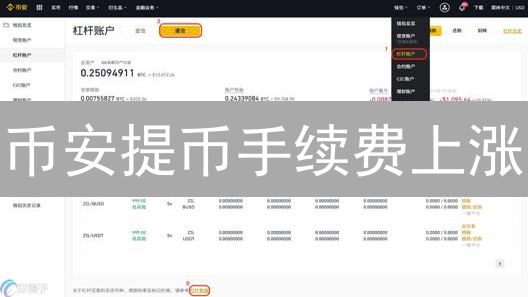币安提币手续费上涨？原因、影响及应对策略详解！