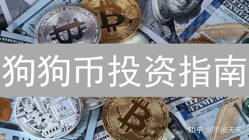 狗狗币投资指南：风险评估、交易平台、策略全解析，新手必读！