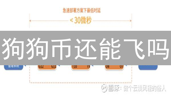 狗狗币还能飞吗？交易稳定性的七大关键风险！