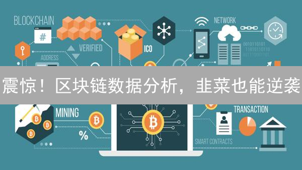 震惊！区块链数据分析，韭菜也能逆袭？！