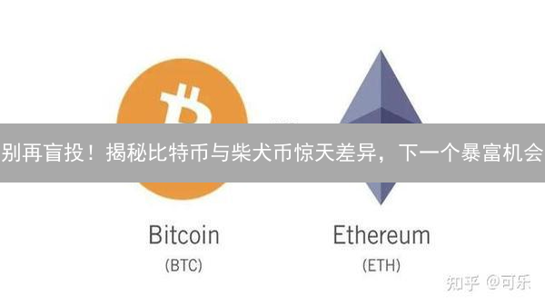 别再盲投！揭秘比特币与柴犬币惊天差异，下一个暴富机会？