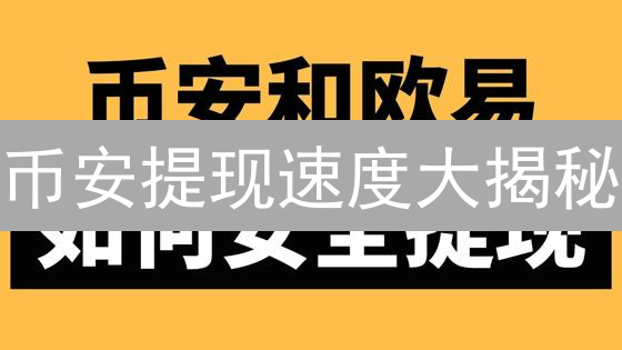 币安提现速度大揭秘：如何秒速到账？避坑指南！