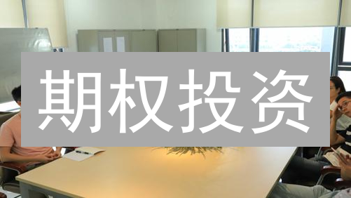期权投资：收益翻倍？你必须知道的真相！| 高回报与风险并存