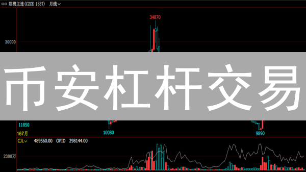 币安杠杆交易：如何选倍数？新手必看爆仓指南！
