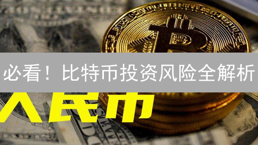 必看！比特币投资风险全解析：如何有效规避？2024最新指南