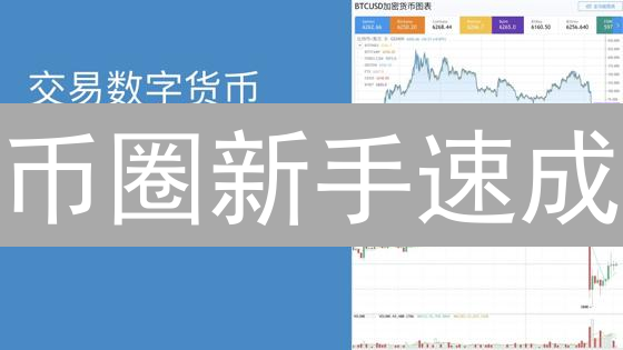 币圈新手速成：3小时掌握加密货币交易技巧！