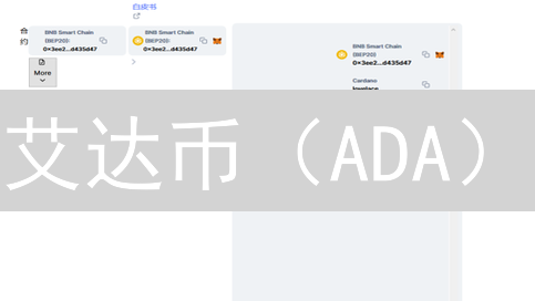 艾达币（ADA）：重塑全球支付体系的潜力分析