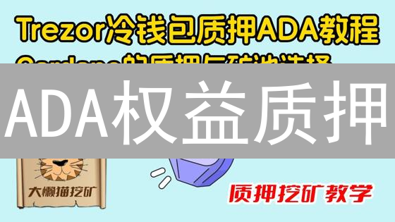 ADA权益质押：新手教程、收益策略与卡尔达诺权益池选择指南