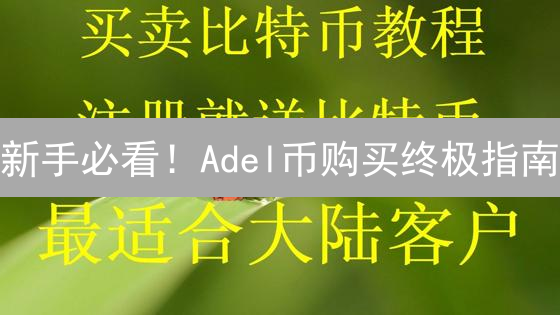 新手必看！Adel币购买终极指南：从入门到精通，速成攻略！