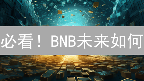 必看！BNB未来如何？三大维度揭秘2024币安币潜力与风险！