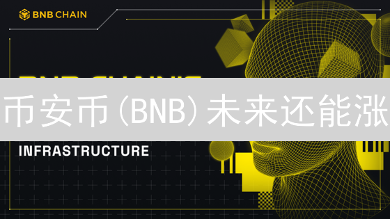 币安币(BNB)未来还能涨？2024技术路线图深度解读！