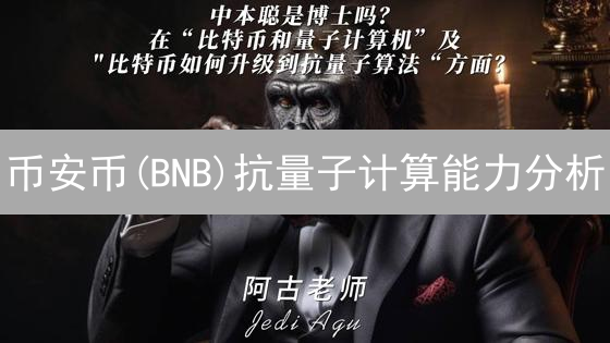 币安币(BNB)抗量子计算能力分析：迷雾与挑战