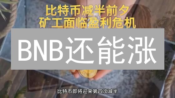 BNB还能涨？币安币未来走势深度解析与交易策略！