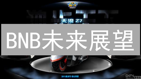 BNB未来展望：生态拓展、应用场景与投资策略深度解析