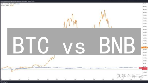 BTC vs BNB：数字黄金还是币安基石？揭秘未来投资新机！