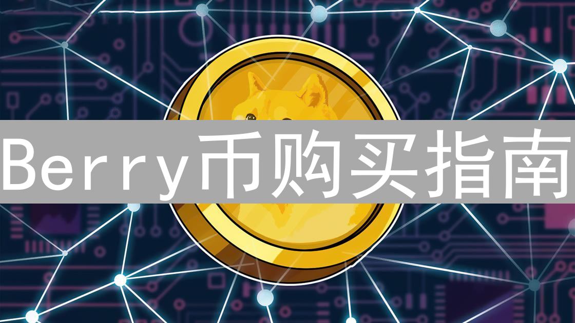 Berry币购买指南：探索数字货币的投资方法和交易平台选择