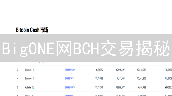 BigONE网BCH交易揭秘：新手必看攻略！