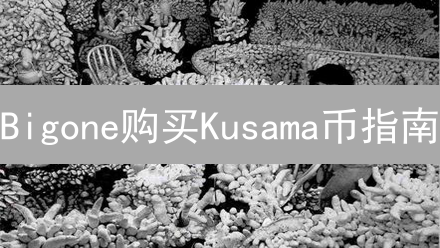 Bigone购买Kusama币指南：最佳途径详解