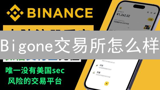 Bigone交易所怎么样？深度评估安全性与交易体验！