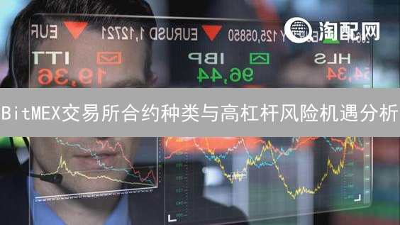 BitMEX交易所合约种类与高杠杆风险机遇分析