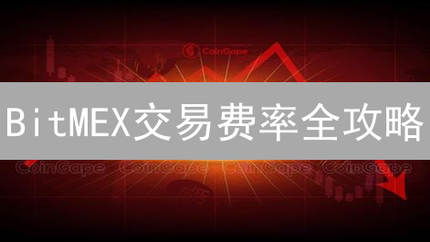 BitMEX交易费率全攻略：解锁省钱秘籍，玩转高杠杆！