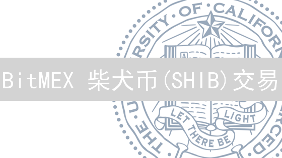 BitMEX 柴犬币(SHIB)交易：告别爆仓，保姆级风控指南！
