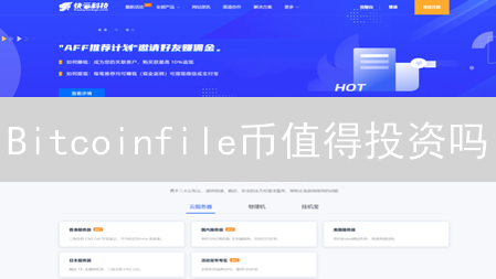 Bitcoinfile币值得投资吗？2024年投资价值深度分析！