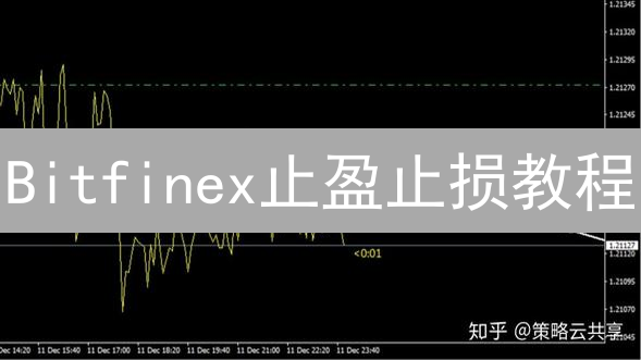 Bitfinex止盈止损教程：新手如何设置自动止盈止损？|2024最新