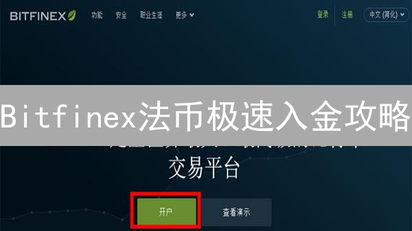 Bitfinex法币极速入金攻略：新手也能轻松购买BTC！