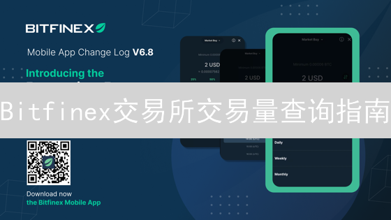 Bitfinex交易所交易量查询指南：全面解析与方法