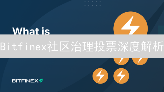Bitfinex社区治理投票深度解析：你的加密资产如何发声？