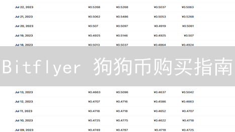 Bitflyer 狗狗币购买指南：三种“曲线救国”策略！