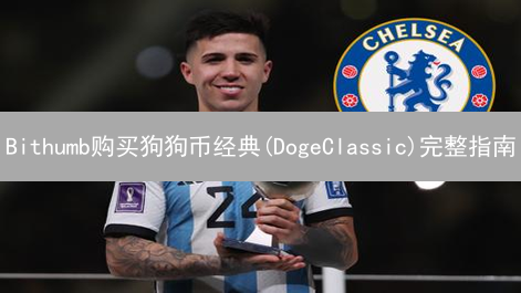 Bithumb购买狗狗币经典(DogeClassic)完整指南