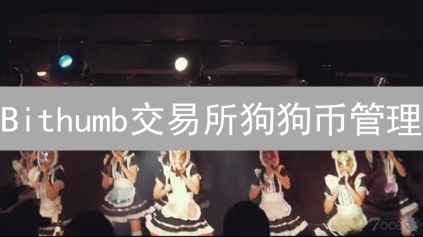 Bithumb交易所狗狗币管理：狂热与风险的反思