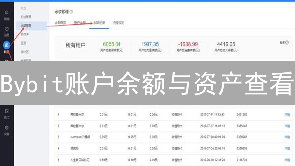 Bybit账户余额与资产查看：交易员必备指南