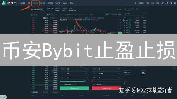 币安Bybit止盈止损：如何用自动交易优化加密货币策略？