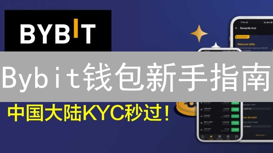 Bybit钱包新手指南：安全存储、交易加密货币全攻略