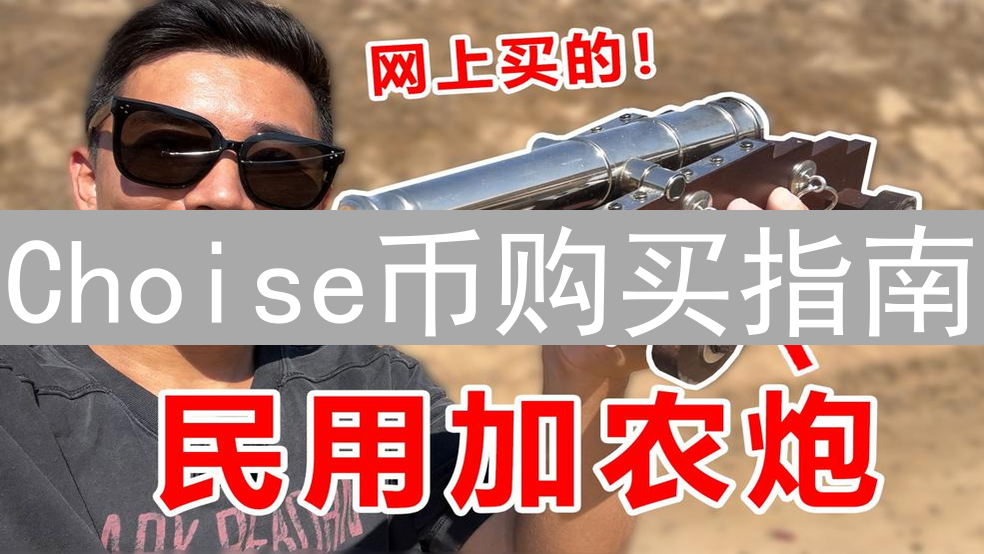 Choise币购买指南：新手入门与交易所选择策略详解