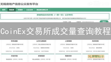 CoinEx交易所成交量查询教程：掌握加密货币交易关键数据