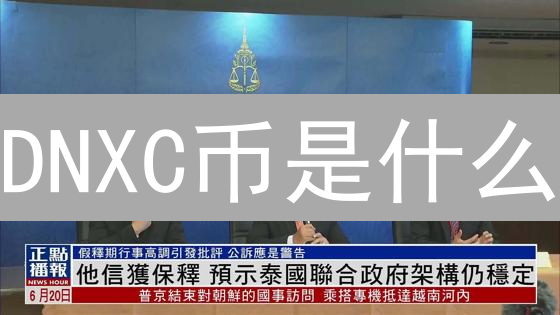 DNXC币是什么？2024年DNXC币价值潜力大揭秘！还能投资吗？