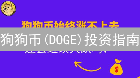 狗狗币(DOGE)投资指南：2024年流动性、用户与竞争分析！值得买吗？
