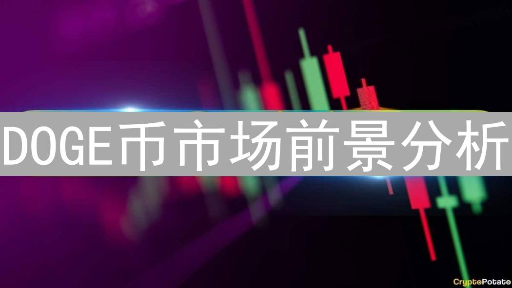 DOGE币市场前景分析：接受度、社区与投资趋势