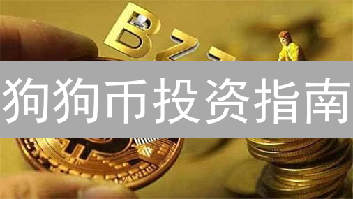 狗狗币投资指南：火币交易所买卖DOGE，抓住财富机遇？