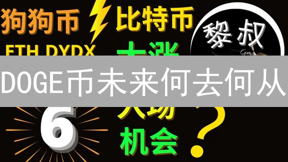 DOGE币未来何去何从？社区力量、名人效应与技术变革深度剖析