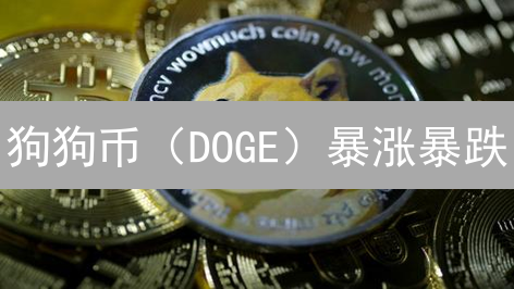 狗狗币（DOGE）暴涨暴跌？币安交易策略全解析！